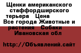 Щенки американского стаффордширского терьера › Цена ­ 20 000 - Все города Животные и растения » Собаки   . Ивановская обл.